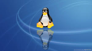Short Term Courses OS Fundamentals & Linux