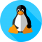 Our Job Oriented Program Linux Internal